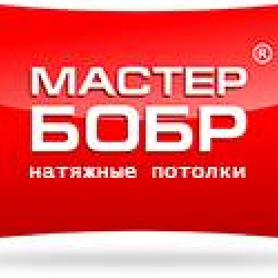 Логотип компании Мастер Бобр