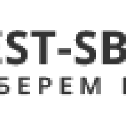 Логотип компании Best-Sborka